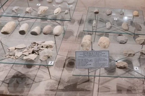 Descubren numerosas herramientas prehistóricas en provincia vietnamita