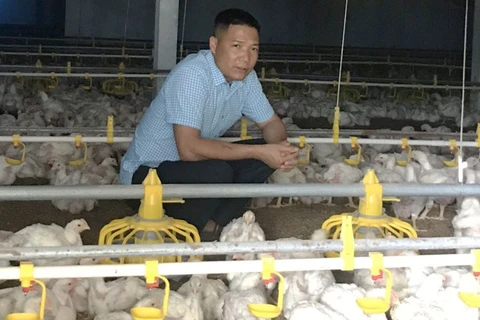 Agricultores de Hanoi con grandes ganancias a pesar del COVID-19