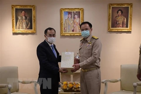 Vietnam y Tailandia fortalecen cooperación en salud