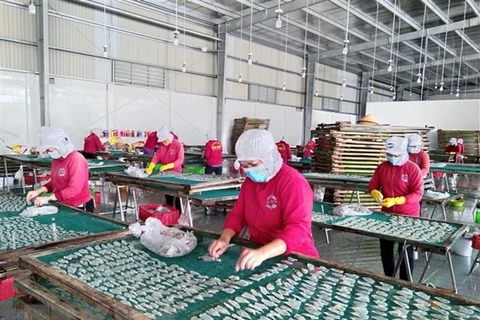 Provincia vietnamita de Phu Tho busca soluciones para recuperación de mercado laboral