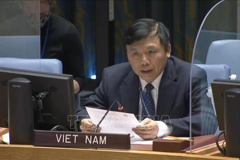 Vietnam preocupado por aumento de violencia y situación humanitaria en Gaza