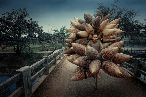 Honrada obra vietnamita en concurso internacional de fotografía