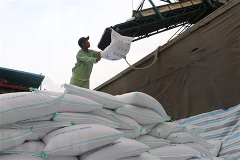Aumentan precios del arroz de Vietnam