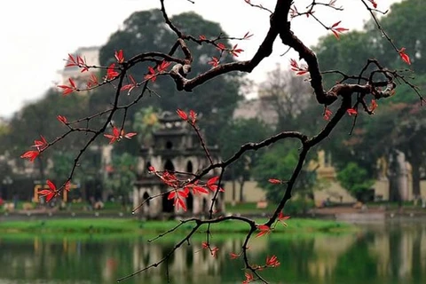 Celebrarán exposición por aniversario del Día de Liberación de Hanoi