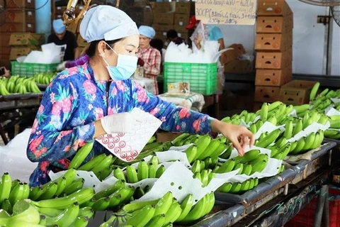 Rusia aumenta importación de verduras y frutas de Vietnam