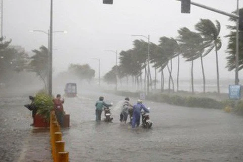 Vicepremier vietnamita insta a estar atento a la próxima tormenta 