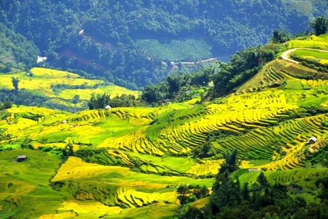 Descubren el pueblo más alto de Vietnam