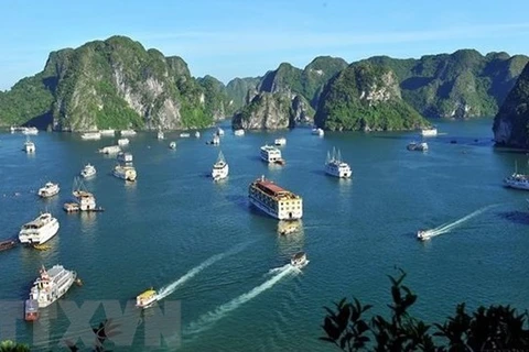 Insta viceprimer ministro vietnamita a recuperar actividades turísticas de manera segura