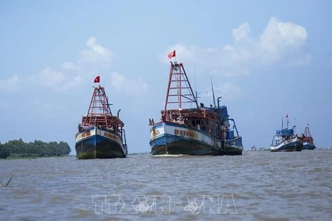 Vietnam determina a rectificar la pesca ilegal en aguas extranjeras
