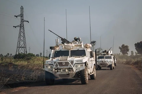 Vietnam aplaude alto el fuego unilateral del gobierno de la República Centroafricana
