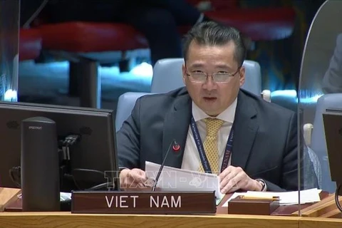 Vietnam preocupado por situación en región de los Grandes Lagos en África