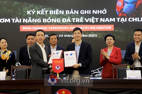 Fútbol vietnamita promueve cooperación integral con la Bundesliga