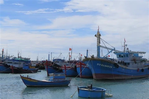 Localidades costeras en Vietnam toman medidas más estrictas contra pesca ilegal 