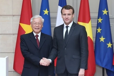 Enaltecen desarrollo incesante de nexos entre Vietnam y Francia