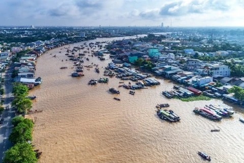 Presentan propuestas para promover desarrollo sostenible en Delta del río Mekong de Vietnam