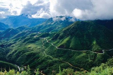 USAID apoya a provincia vietnamita en conservación de biodiversidad forestal