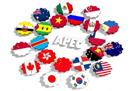 Espera Vietnam consolidación del papel de APEC en conexión económica