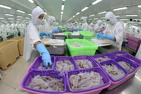 Industria de procesamiento de camarón de Vietnam trabaja por cumplir objetivo en 2021