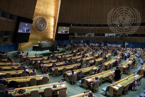 Vietnam es reelegido miembro de la Comisión de Derecho Internacional de la ONU