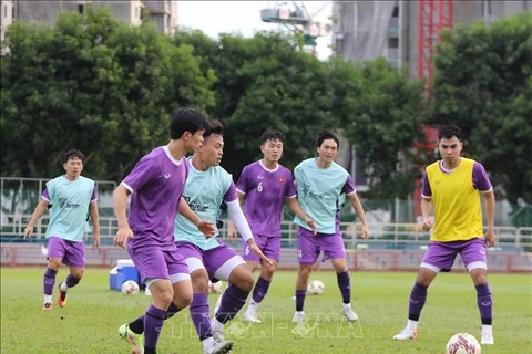 Diario singapurense aprecia selección nacional de fútbol de Vietnam