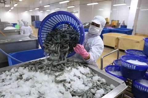 Exportaciones vietnamitas de camarones podrían alcanzar unos cuatro mil millones de dólares en 2021