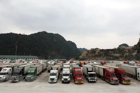 Vietnam y China buscan soluciones a la congestión de carga en puertas fronterizas