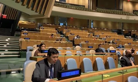 India aprecia contribuciones de Vietnam al Consejo de Seguridad de la ONU
