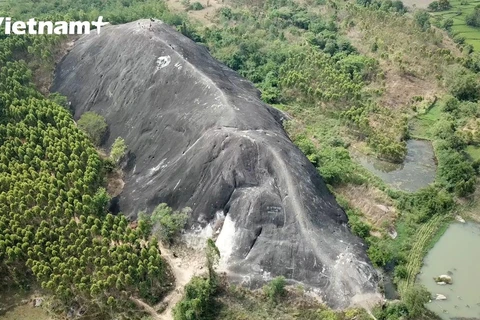 Contemplen rocas de elefantes de la Altiplanicie Occidental de Vietnam