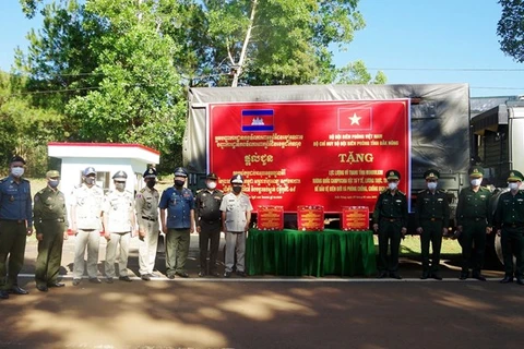 Provincia vietnamita apoya lucha antiepidémica en Camboya
