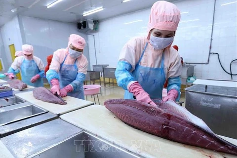 Exportaciones del atún vietnamita aumentan 16,6 por ciento en 2021