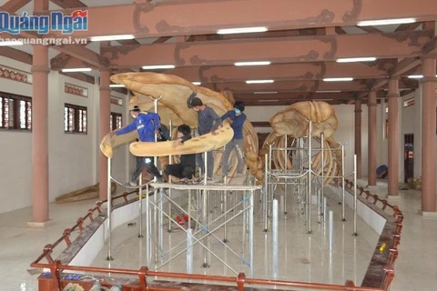 Restauran dos esqueletos de ballena de 300 años en isla vietnamita de Ly Son