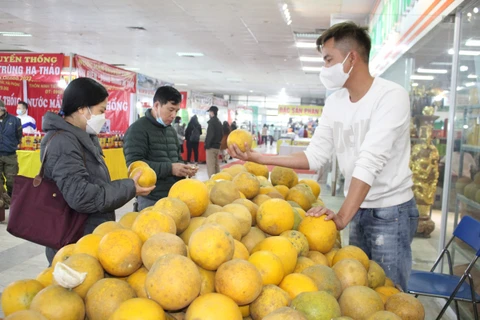 Feria por el Tet en Hanoi busca estimular consumo de productos domésticos