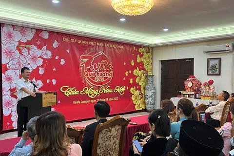 Programa Primavera en la tierra natal conecta a vietnamitas en ultramar