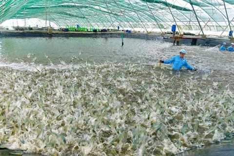 Vietnam busca soluciones para el desarrollo sostenible de la industria pesquera