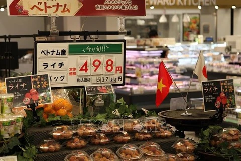 Existe gran espacio para la exportación de productos agrícolas vietnamitas a Japón