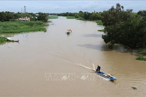 Delta del Mekong de Vietnam enfrenta intrusión salina