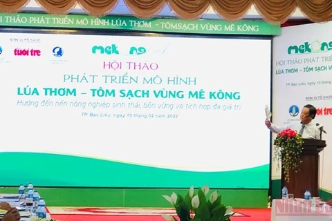 Desarrollan modelo "arroz fragante-camarón limpio" en la región del Mekong