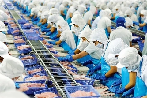 Exportaciones de pescado Tra de Vietnam superan las expectativas