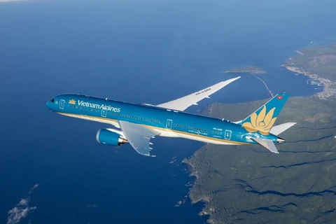 Japón arresta a sospechoso que amenazó con derribar avión de Vietnam Airlines