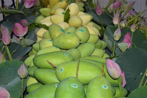 Provincia vietnamita exporta primer lote de mangos a Europa en 2022