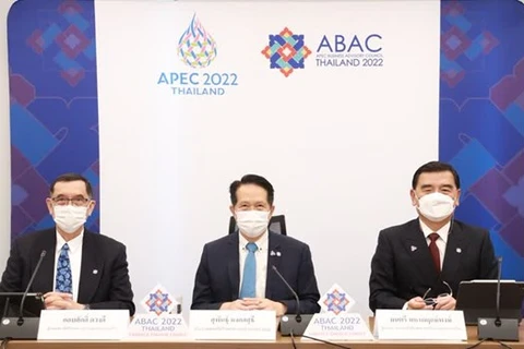 Asesor Empresarial del APEC aboga por impulsar transformación digital