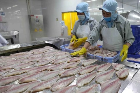 Vietnam por alcanzar ingresos multimillonarios de exportaciones de pescado Tra en 2022