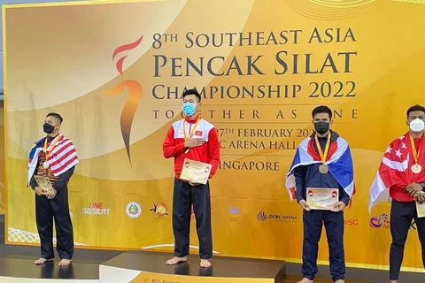 Vietnam obtiene nueve medallas de oro en campeonato regional de pencat silat