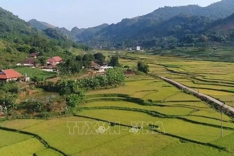 Vietnam fija meta para desarrollar nuevas zonas rurales para 2025