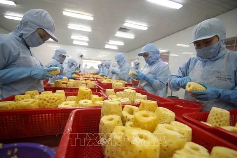 Analizan impactos del conflicto entre Rusia y Ucrania en exportación de productos agrícolas vietnamitas