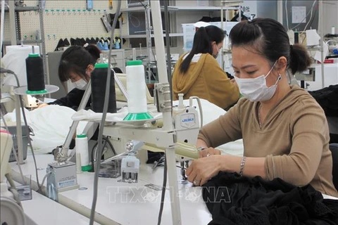 Empresa japonesa ayuda a vietnamitas en búsqueda de trabajo en Japón