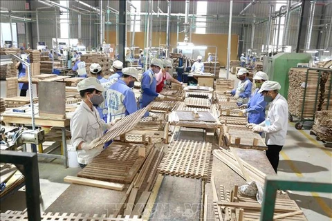 Expertos recomiendan al sector maderero de Vietnam aprovechar materias primas nacionales