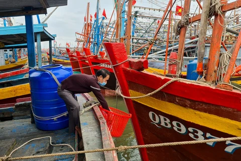 Pescadores vietnamitas participan en trabajo de protección ambiental