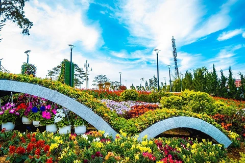 Efectuarán en Vietnam IX Festival de flores Da Lat a finales de 2022