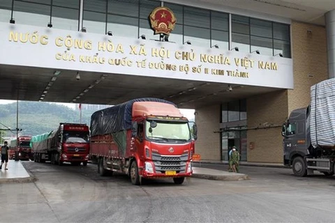 Actualizan a empresas vietnamitas trámite de exportación de almidón a China